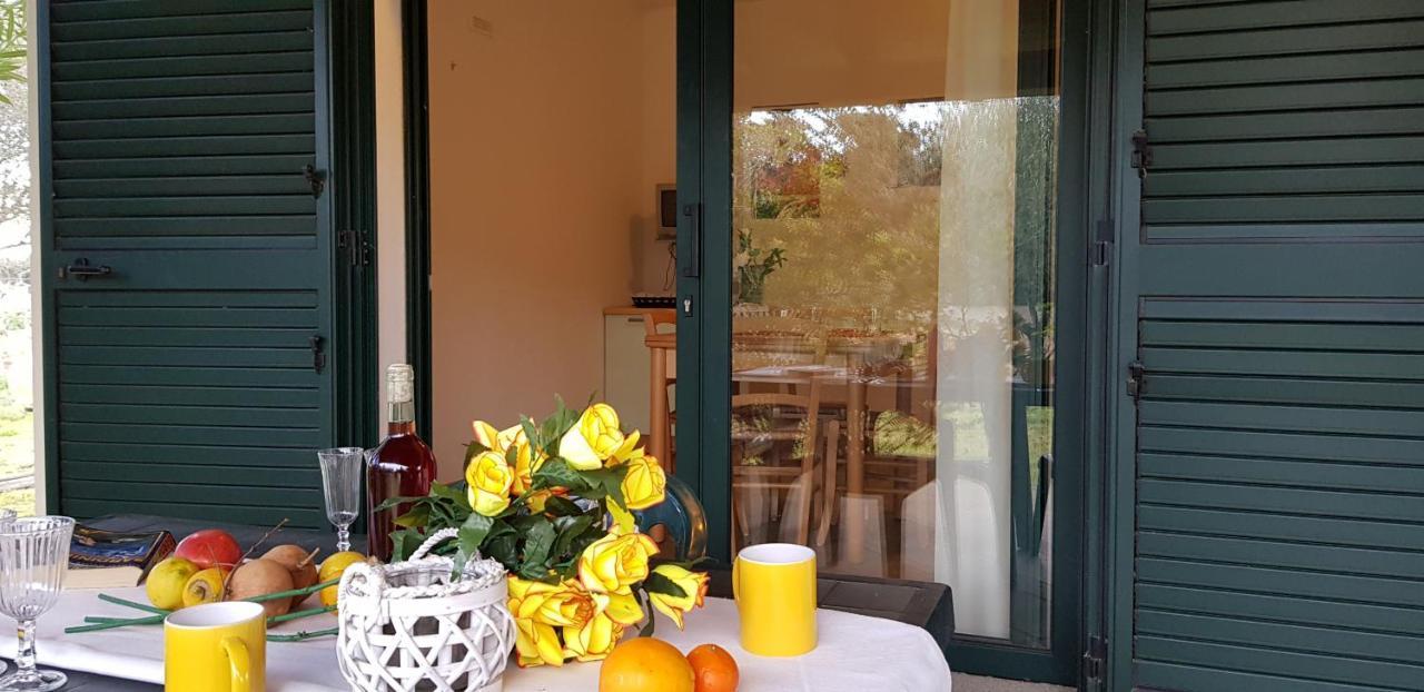Pareja Apartments أروسييْ المظهر الخارجي الصورة